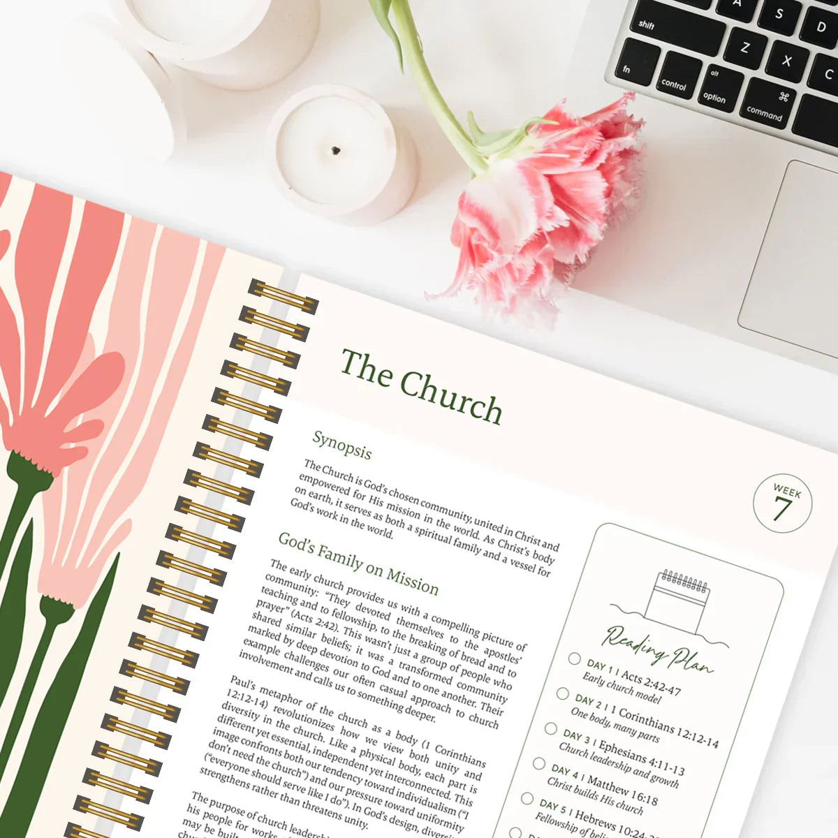 A Bible Study in One Year - 52-Week Study